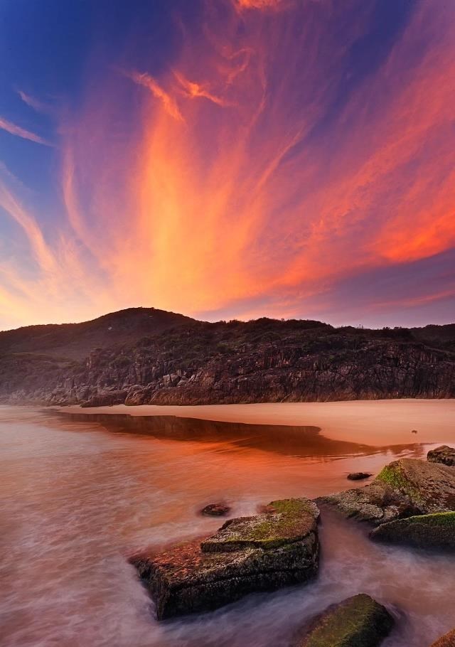 Rasplesani ružičasti suton  