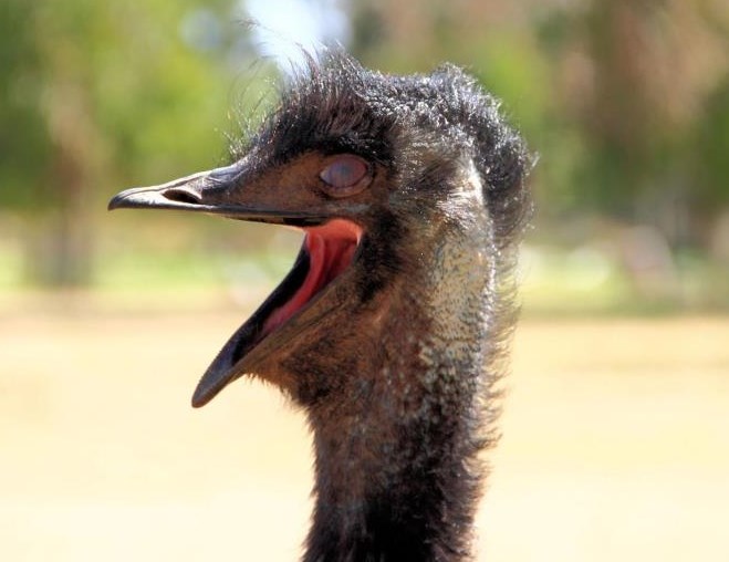 Joj kak sam si danas fotogenična :)