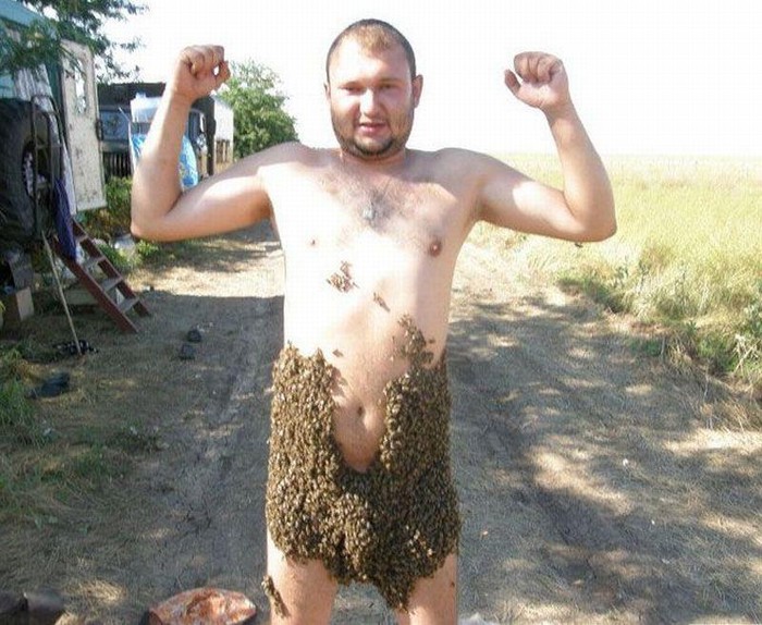 Čeličenje idiota na Balkanu