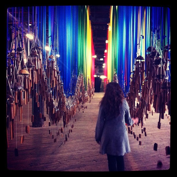 K'o Alisa u Zemlji čudesa...