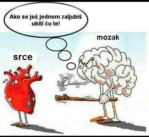 Srce nema pameti...