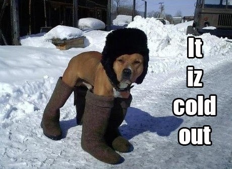 Rekoše mu da je vani zima pa se dobro opremio