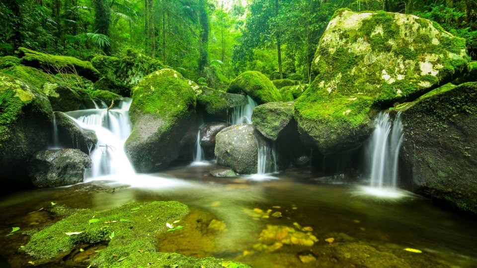Opuštajuće zelenilo - šuma, rijeka i slapovi