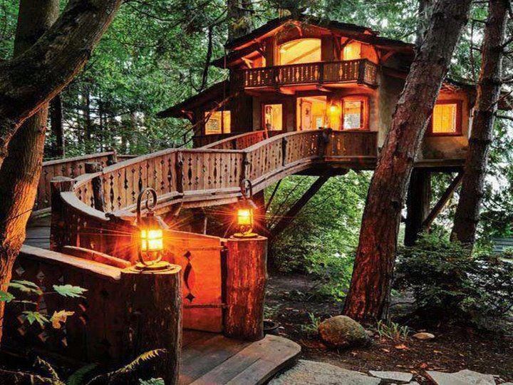 Kućice na drvetu postaju kućerine