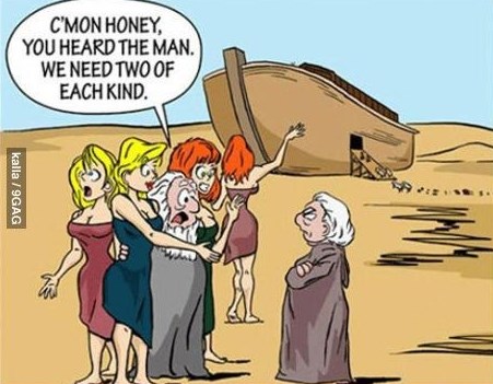 Noina arka - sexy izdanje