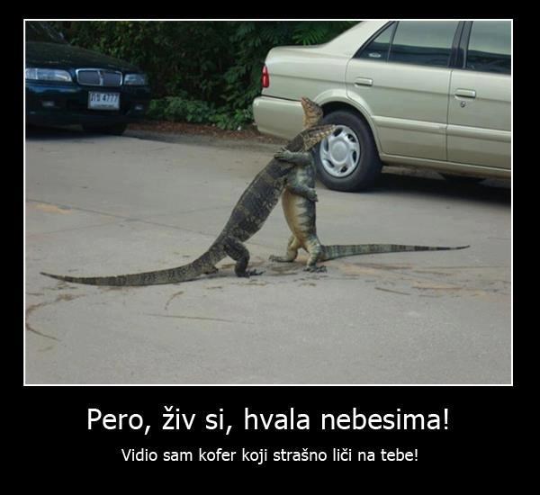 Dirljivi susret prijatelja - još ni jedan nije postao torba