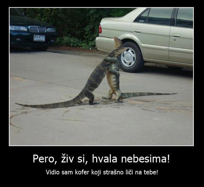 Dirljivi susret prijatelja - još ni jedan nije postao torba