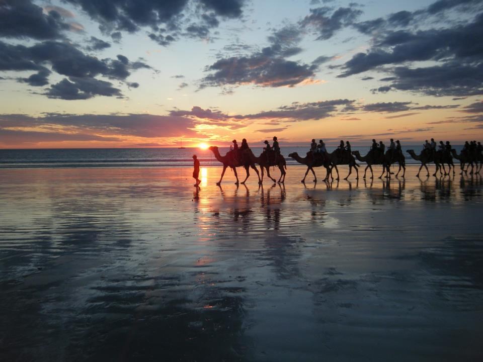 Jahanje na devama pješčanom plažom u suton...