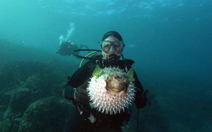 Nabavila pikavu ribu pozericu kao partnericu za naslikavanje