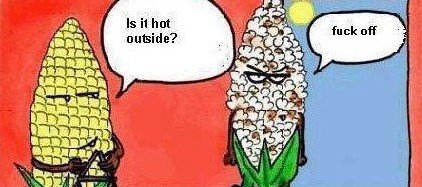 Stižu pasje vrućine...