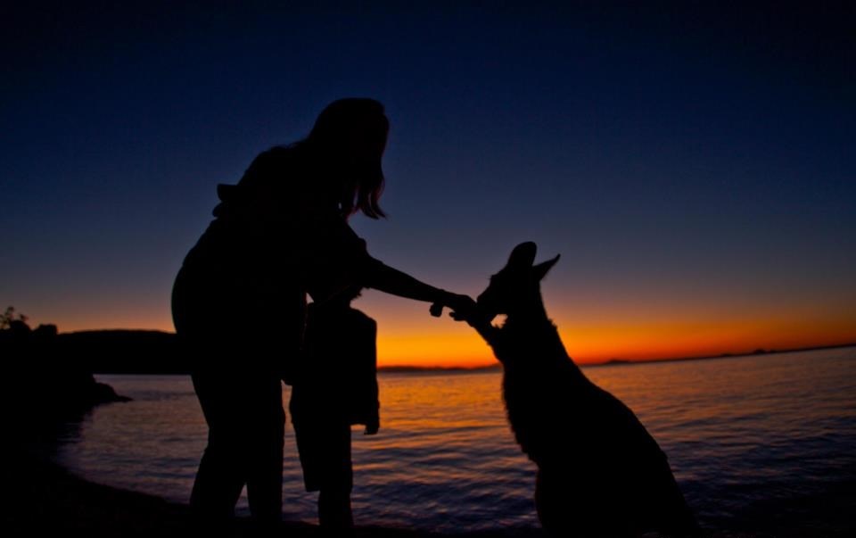 Klokan u suton zaprosio ženu svog života