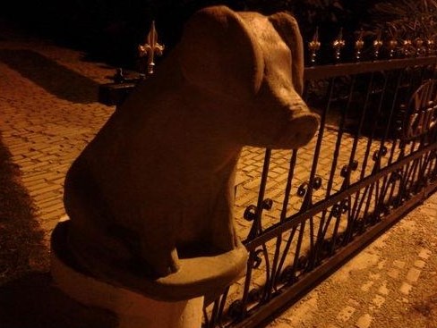 Slavonska ograda - prase jer su lavovi i orlovi out