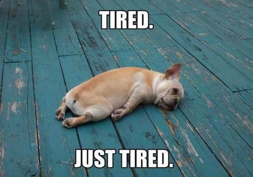 Svladao ga umor usred šetnje