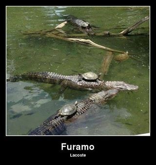 Kornjače prate trendove