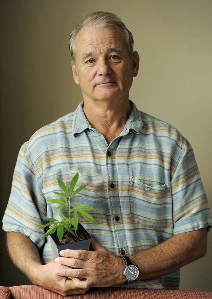 Svijet voli buntovnike - Bill Murray zasadio travu