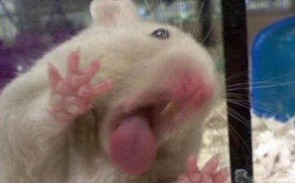 "Ma daj mi samo jedan liz tog sladoleda, vruće je!"