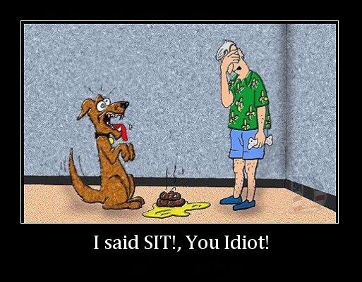 Nije pas kriv što gazda engleski priča ko Ingrid