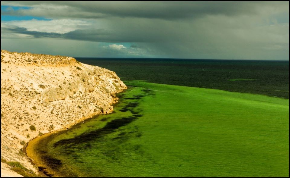 Zeleno more - priroda se voli igrati bojama