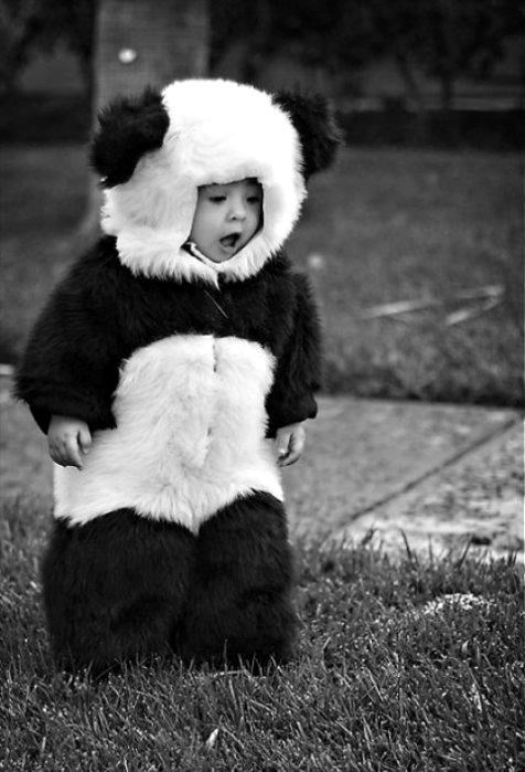 Najslađi "panda" na svijetu