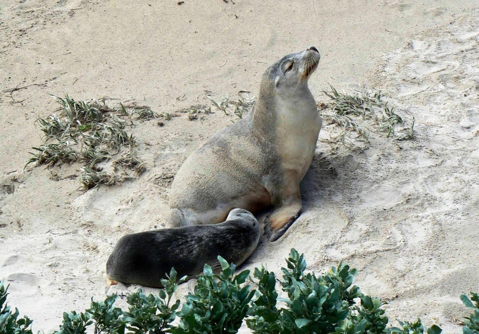 Strpi se samo s fotkanjem dok zauzmem "diva" pozu