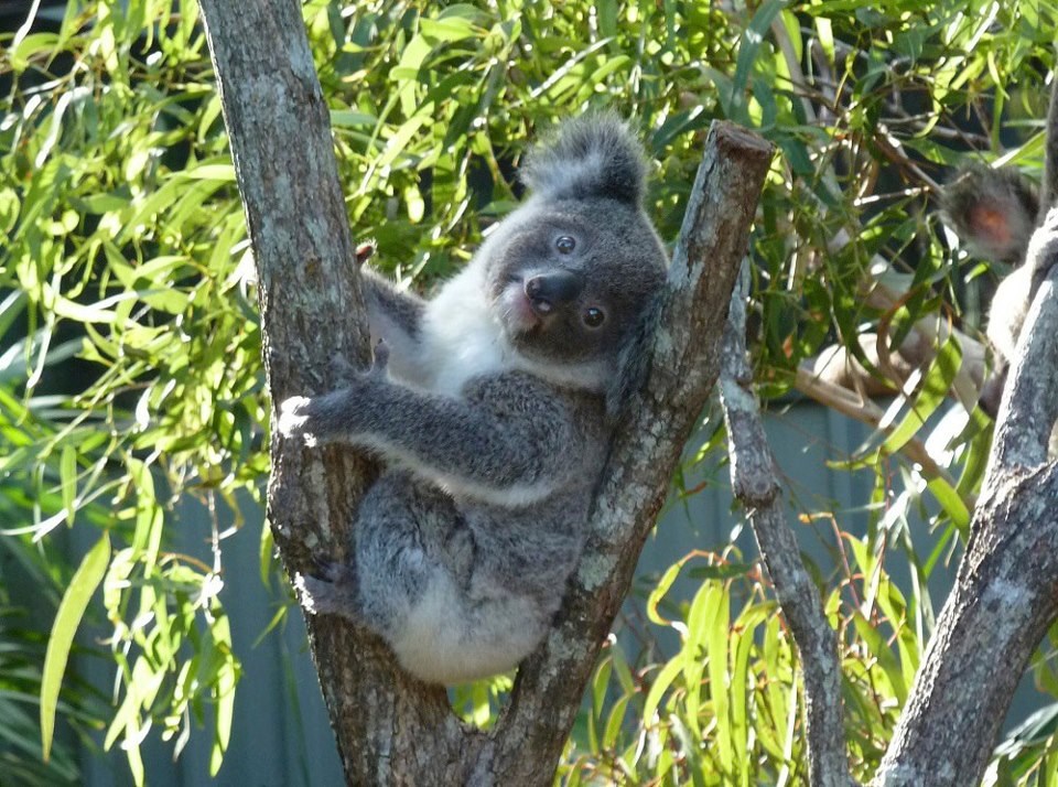A baš sam ti slatka, priznaj!
