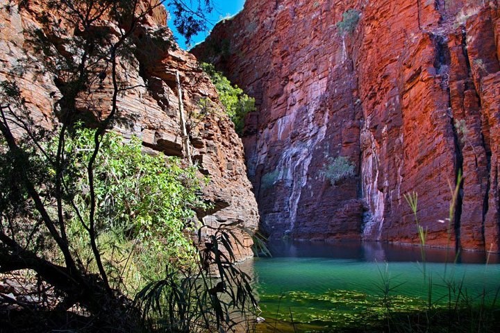 I onda nek netko kaže da priroda nije čudo...