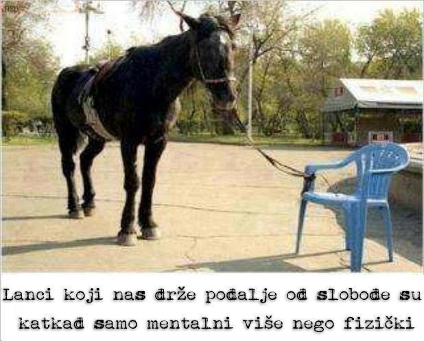 Ne daj da te išta u životu sputava - bori se za svoj cilj