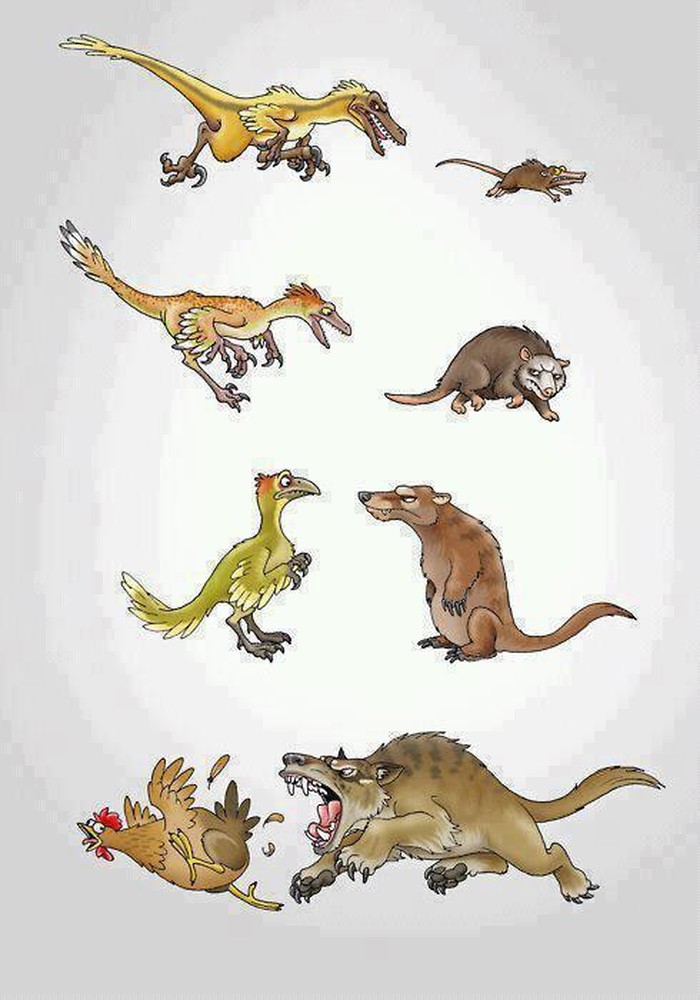 Evolucija zna biti gadna stvar