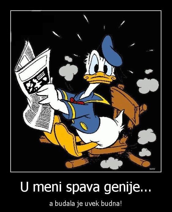 Spava li i u tebi genije?