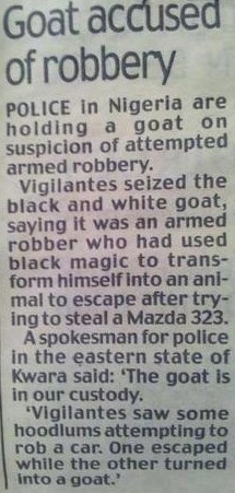 Samo u Nigeriji: Lopov se crnom magijom pretvorio u kozu!?