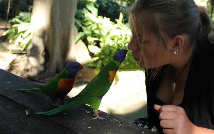 "Daaaaaaaaaaaaj mi pusuuuuuuuuu!"