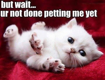 Ej, di ćeš, maženje nije gotovo!!!