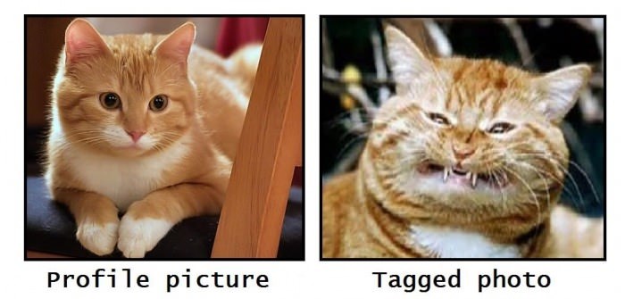 Muke po Facebooku...