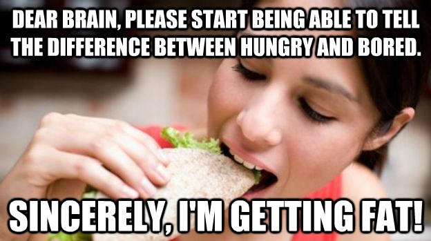 Dragi mozgu, glad i dosada nisu isto!