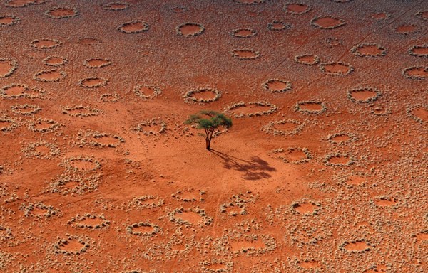 Znate tko je stvorio "krugove" u pustinjskom pijesku?