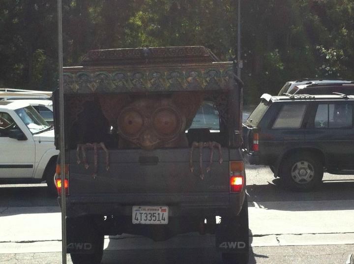 Strpao čudovište u gepek i dao se u bijeg