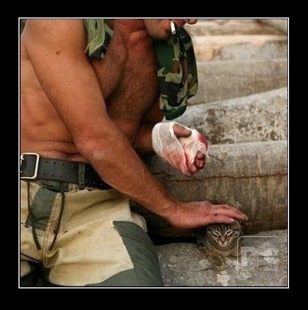 Slika koja govori više od tisuću riječi...