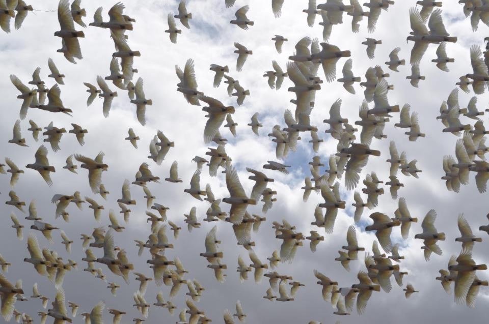 Trenutak u kojem se moliš da nisu upravo ručale...