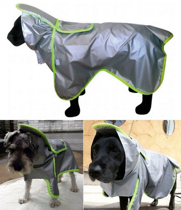 Kabanice za pse - jer i oni mrze kišu