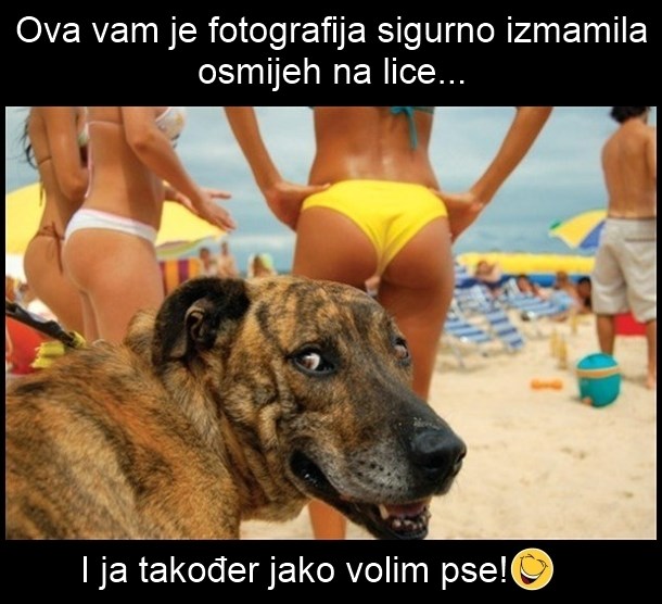 Prestani sliniti, vidim te!