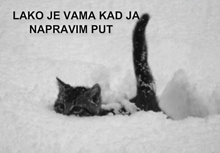 Mica maca umislila da je ralica