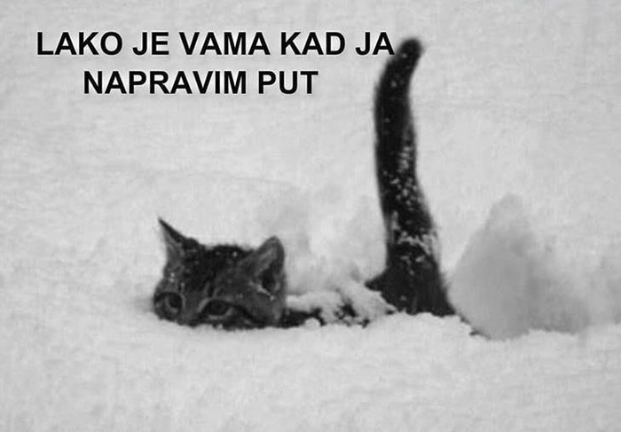 Mica maca umislila da je ralica