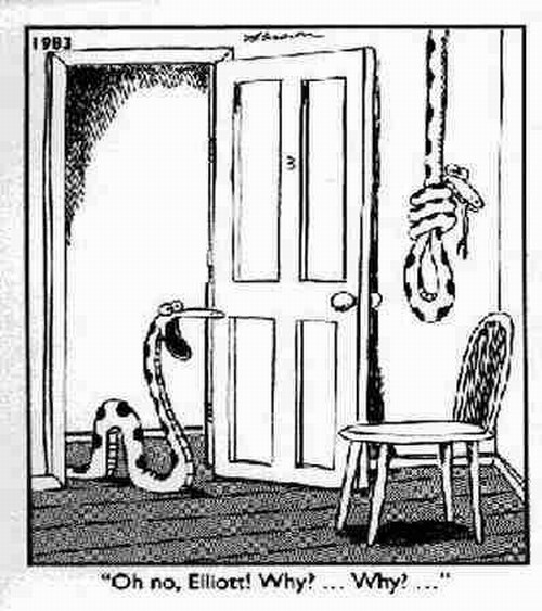 Nije ni zmijama lako...