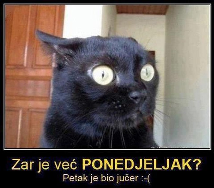 Je li i vama vikend ovako brzinski prohujao?