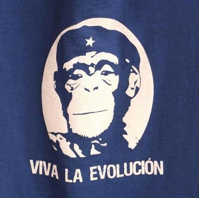 Ma kakva revolucija, dovoljno nas je sjebala i evolucija