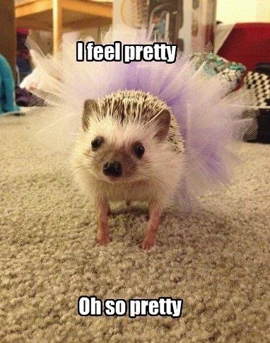 Ježica spremna za bal