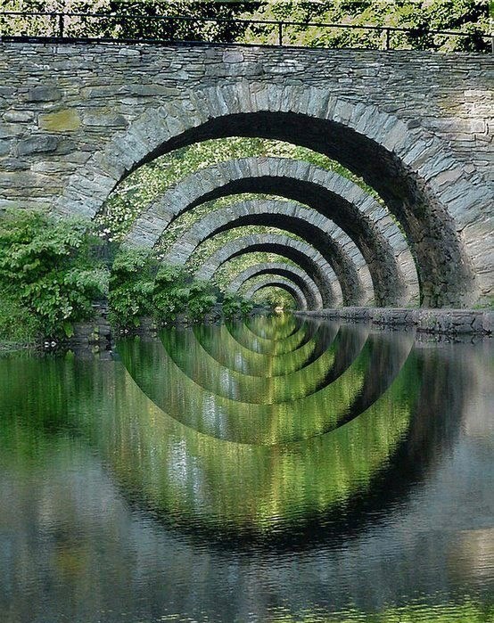 Kad te priroda hipnotizira