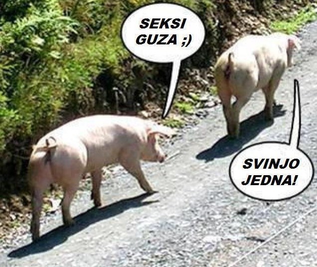 Počeci uzrečice "muškarci su svinje"
