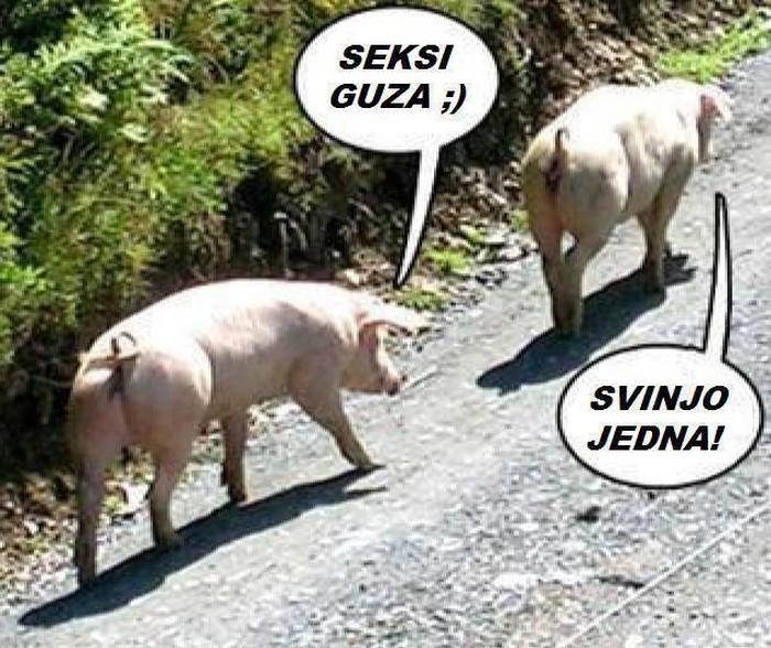 Počeci uzrečice "muškarci su svinje"