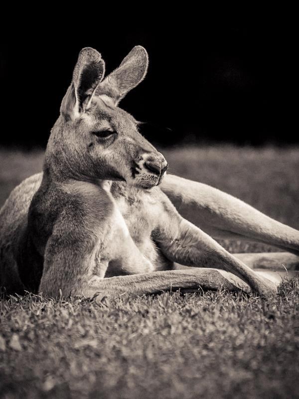 I, mala, kažeš da sam ti zgodan, a?